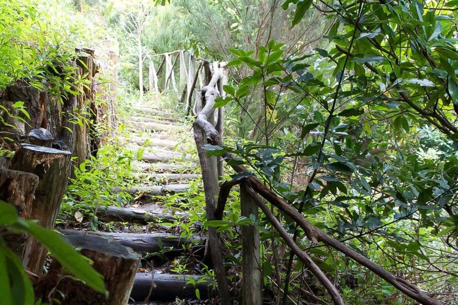Levada Walk and Caldeirao Verde Waterfalls: Madeira - Should I book the Levada Walk and Caldeirão Verde Waterfalls?