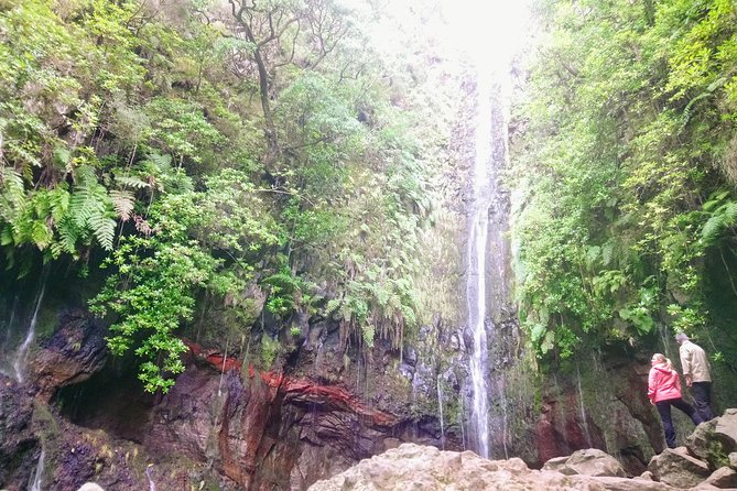 Levada & Waterfalls Hike 25 Fountains, Rabaçal, Risco more Challenging Walk - What’s Included, What Costs Extra, and the Real Value