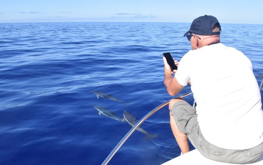 Madeira: 2.5-Hour Whale and Dolphin-Watching Cruise - How the 2.5-Hour Itinerary Flows (So You Don’t Feel Rushed)