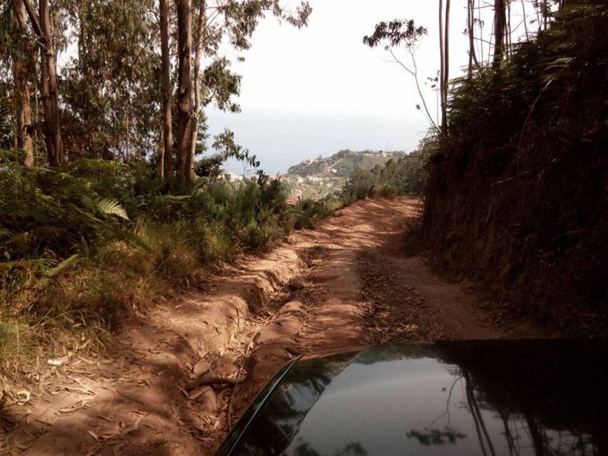 Madeira 2 Full-Day & 1 Half-Day 4x4 jipe Special Tour Combo - Key highlights worth getting excited about