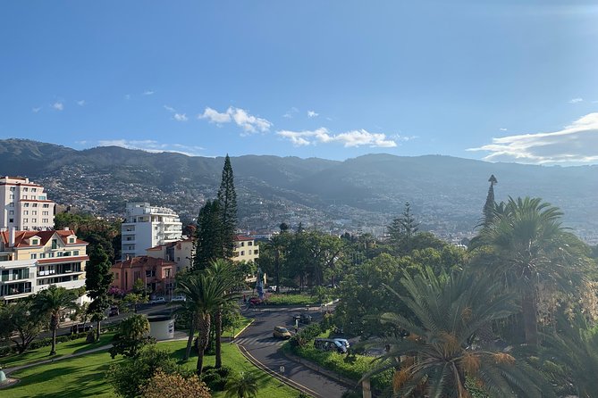 Madeira Airport Round Trip Shuttle Transfers Service - Luggage Limits and Practical Packing Tips (So You Avoid Extra Fees)