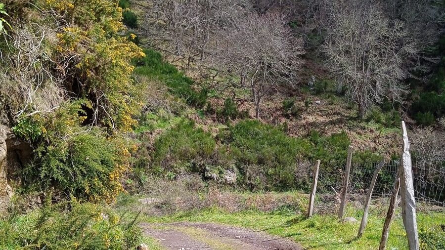 Madeira all day jeep nature tours. - Pico do Areeiro for sunrise or sunset: the timing gamble worth taking