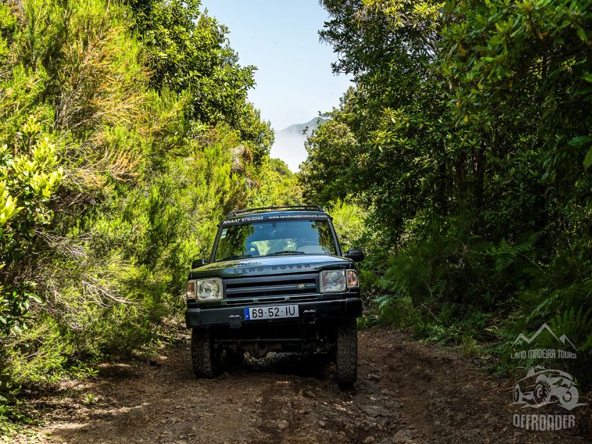 Madeira all day jeep nature tours. - What the 8-hour day actually feels like (and how to handle it)