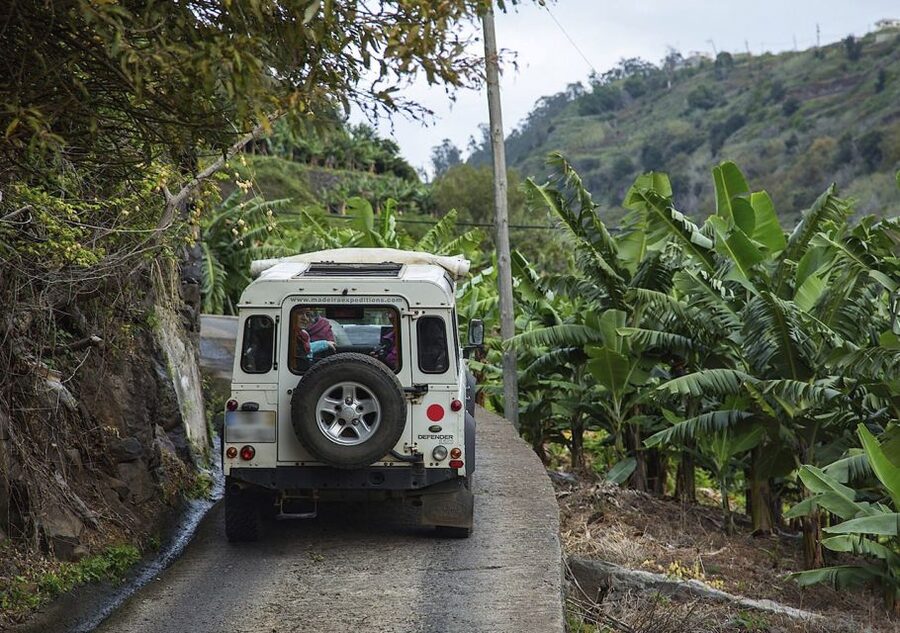 Madeira: Amazing West - Porto Moniz - Fanal Forest: a short walk with misty northern magic