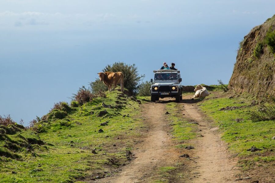 Madeira: Amazing West - Porto Moniz - Ribeira da Janela and the northern coast rhythm