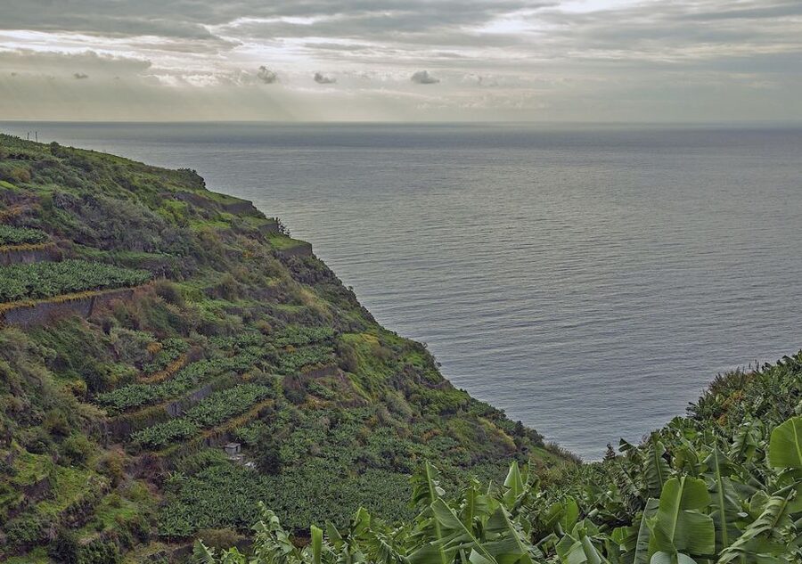 Madeira: Amazing West - Porto Moniz - Porto Moniz: volcanic sea pools, lunch time, and a true break