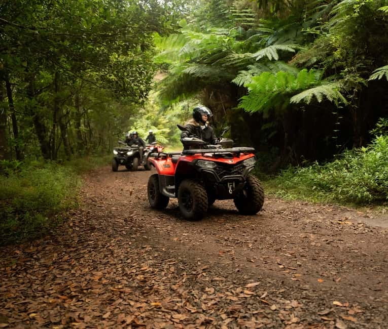 Madeira: Aventura Off-Road de ATV ou Quad - Adrenalina - Why a Madeira quad tour from Caniçal feels different