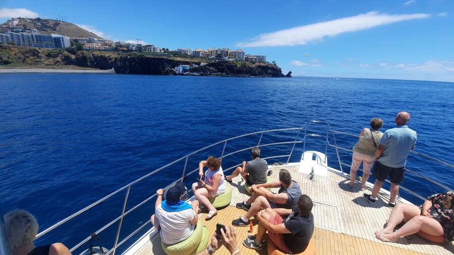 Madeira: Boat Trip with Lunch, Drinks, and Hotel Transfer - Timing and pacing: a half-day that stays fun