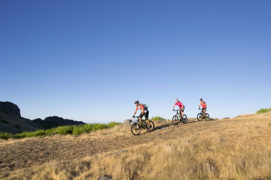 Madeira Botanical Levels Bike Tour – Scenic Trail Experience - Your guide checks your skills, then you choose how technical to get