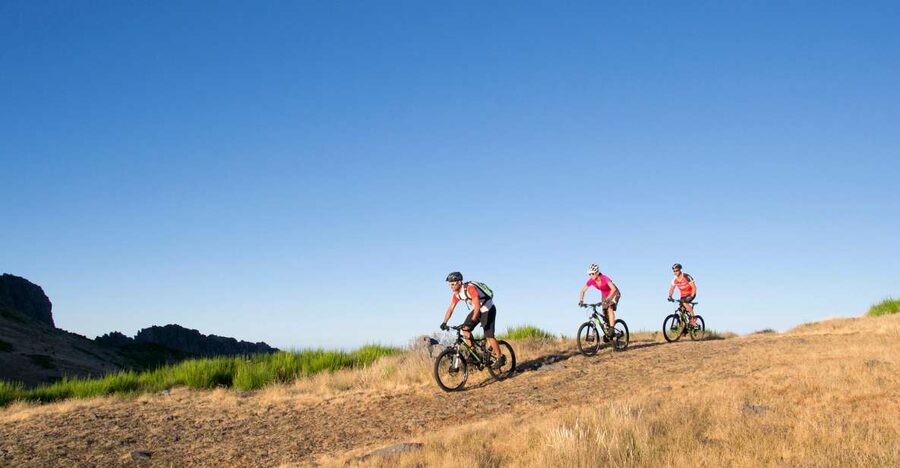 Madeira Botanical Levels Bike Tour – Scenic Trail Experience - Start high in Poiso, then settle into a smooth downhill rhythm