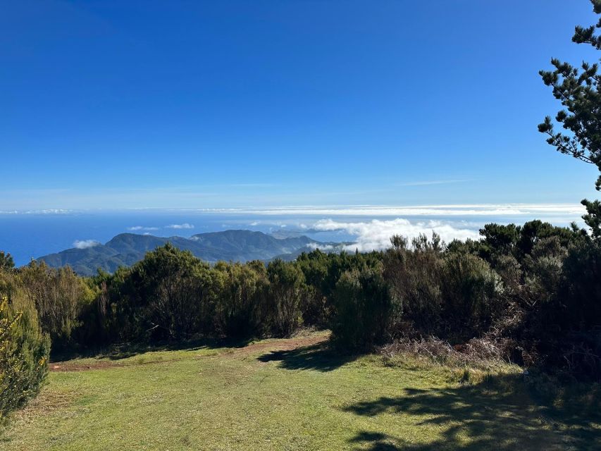 Madeira Botanical Levels Bike Tour – Scenic Trail Experience - What $94 gets you in real value for a half-day