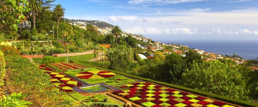 Madeira: Botanical, Monte Palace, and Palheiro Gardens - Palheiro Gardens and the Blandy Wine Connection