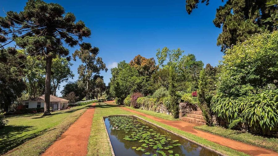 Madeira: Botanical, Monte Palace, and Palheiro Gardens - Walking, Photos, and the Small Rules That Matter