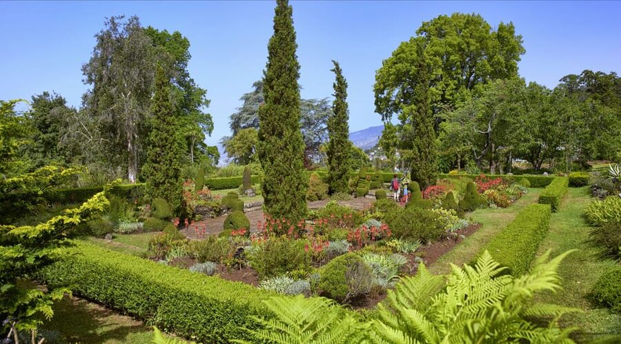 Madeira: Botanical, Monte Palace, and Palheiro Gardens - Should You Book This Madeira Gardens Tour?