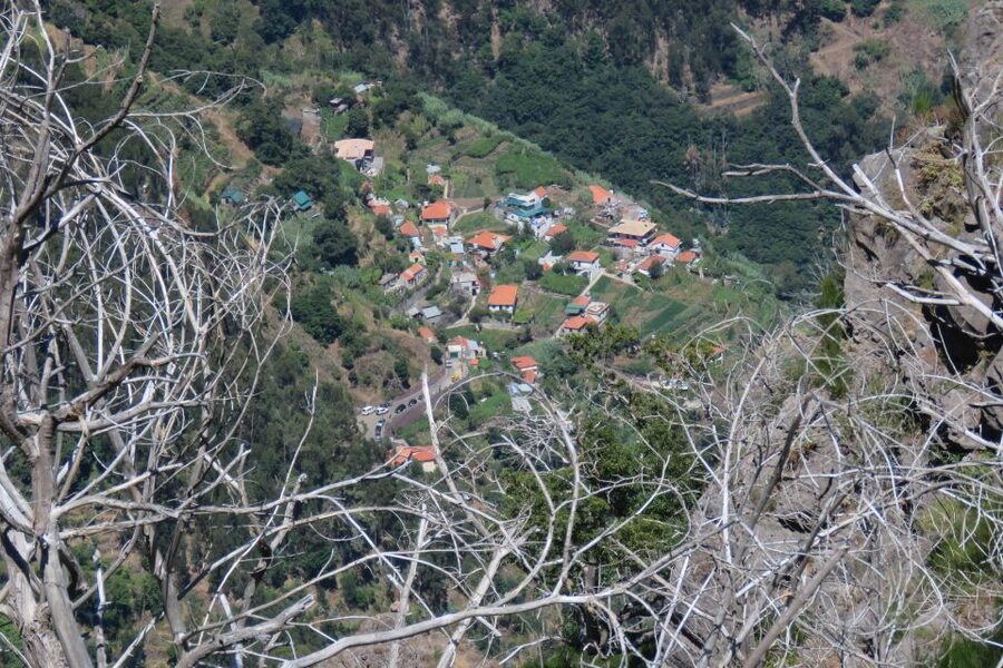 Madeira : Cabo Girao and Camara de Lobo 4WD half-day Tour - The Local Bar Stop and Poncha: A Taste, Not a Full Meal