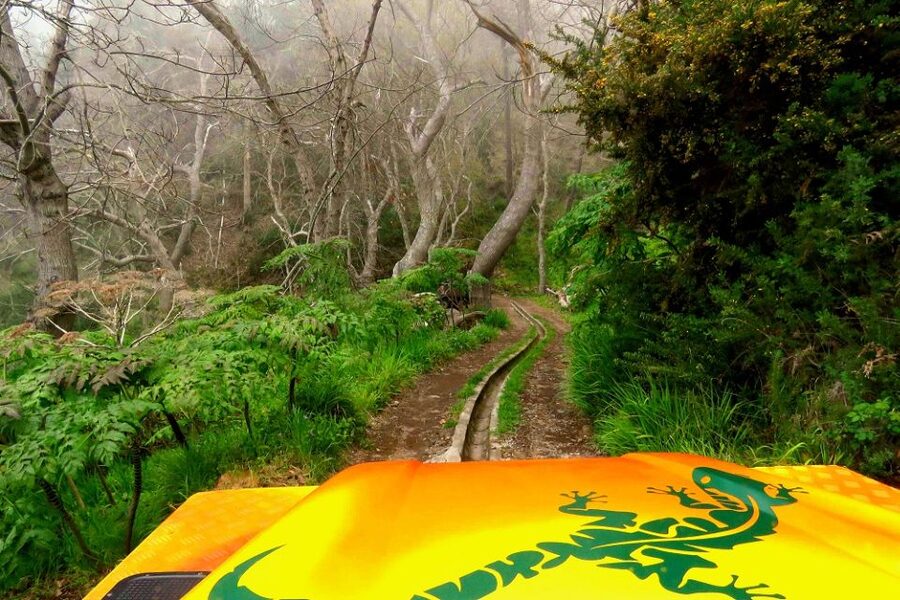 Madeira : Cabo Girao and Camara de Lobo 4WD half-day Tour - Comfort, Timing, and Practical Tips for the Sea Cliff Route