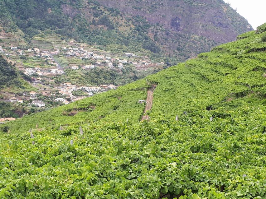 Madeira: Cabo Girão, Wine Tasting, & Serra d'Água Jeep Tour - Key Points You’ll Care About