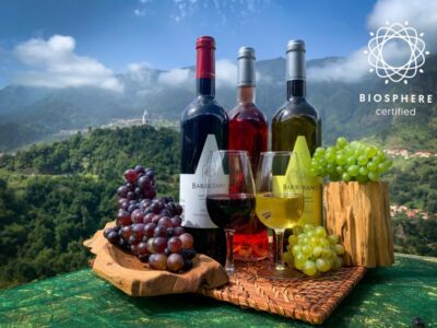 Cabo Girão, Wine Tasting, & Serra d’Água Jeep Tour