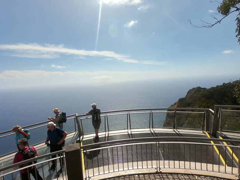 Madeira: Cabo Girão, Wines Experience and Dolphins Watching - The São Vicente jeep portion: open-air north-coast scenery