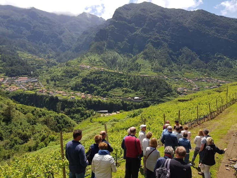 Madeira: Cabo Girão, Wines Experience and Dolphins Watching - Price and value: is $124 a good deal for this mix?