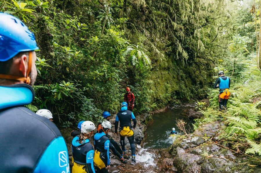 Madeira Canyoning Beginners – Easy & Fun Waterfall Adventure - Treebeards, Endemic Plants, and the UNESCO Angle