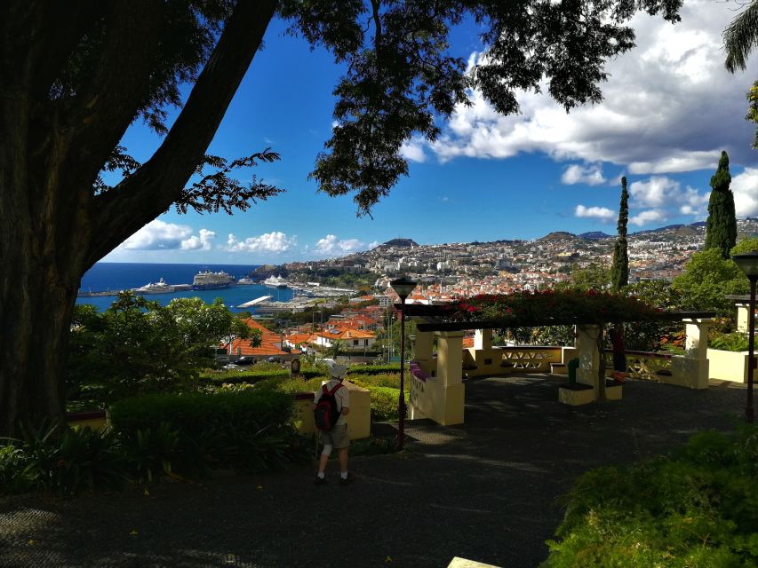 Madeira: Customized 3, 4 or 6-Hour Tour - Madeira Botanical Garden: A Ground-Level Stop After the Big Views