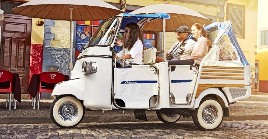 Madeira: Customized 3, 4 or 6-Hour Tour - Getting Picked Up in La Vie or Funchal, Then Starting Fast