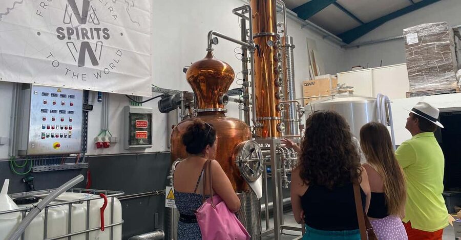 Madeira: Distilleries - Madeira distilleries in one half-day: what the tour feels like