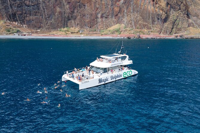 Madeira Dolphin and Whale Watching on a Ecological Catamaran - Key highlights at a glance