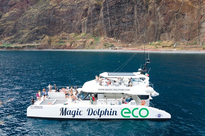 Madeira Dolphin and Whale Watching on a Ecological Catamaran - The eco catamaran tech you will notice in how it moves