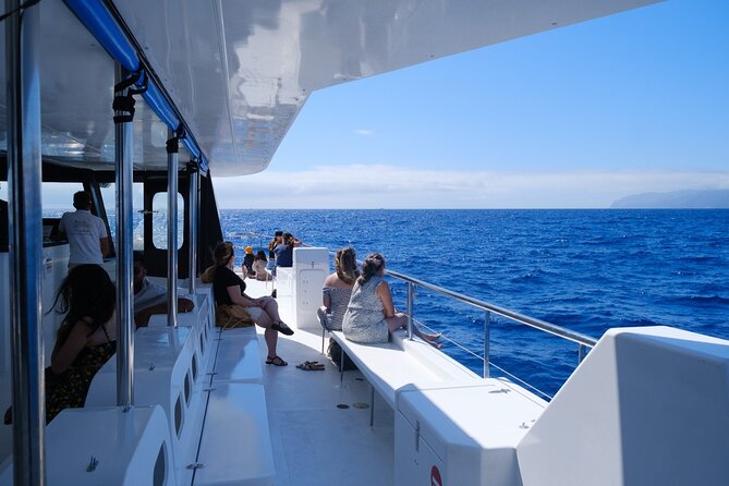 Madeira Dolphin and Whale Watching on a Ecological Catamaran - The 3-hour plan: Funchal to the wildlife zone