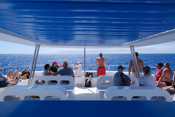 Madeira Dolphin and Whale Watching on a Ecological Catamaran - Passing Cabo Girão, Câmara de Lobos, and Reid’s Hotel from the sea