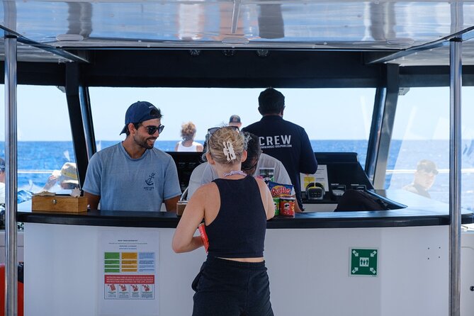 Madeira Dolphin and Whale Watching on a Ecological Catamaran - How shore spotters change your odds of seeing wildlife