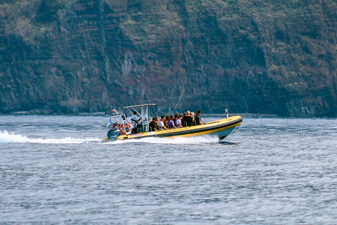 Madeira Dolphin & Whale Watching Tour - Comfort and seasickness: plan smarter, enjoy more