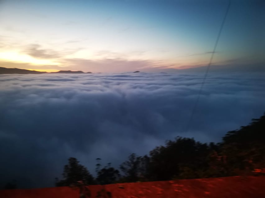 Madeira E-Buggy Adventure: 4x4 thrill & epic views! Book now - Key things you’ll notice right away