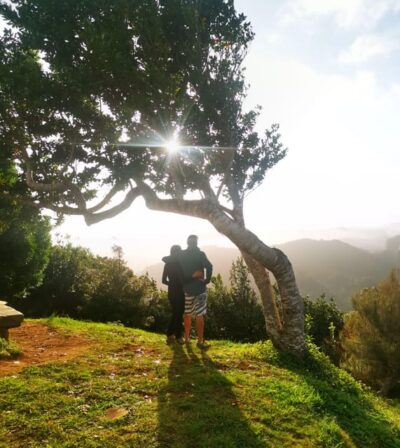 Madeira E-Buggy Adventure: 4×4 thrill & epic views! Book now
