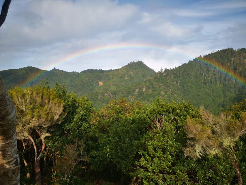 Madeira E-Buggy Adventure: 4x4 thrill & epic views! Book now - The north-side viewpoints: Pico do Arieiro and Pico Ruivo time