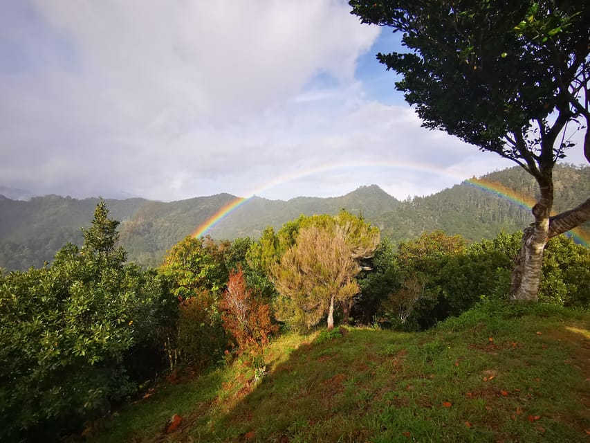Madeira E-Buggy Adventure: 4x4 thrill & epic views! Book now - Who this tour fits, and who should skip it