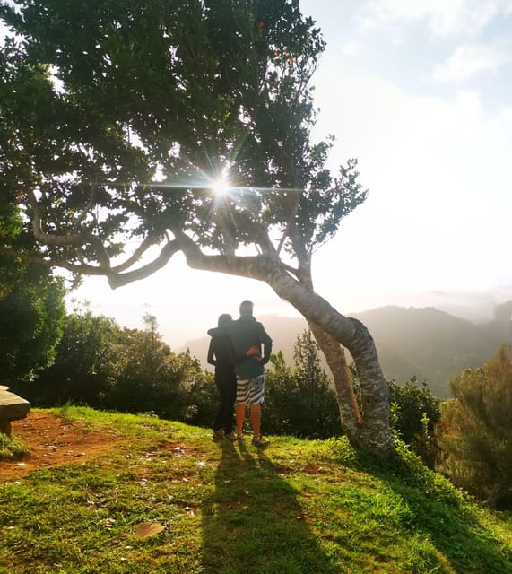 Madeira E-Buggy Adventure: 4x4 thrill & epic views! Book now - Laurissilva Forest: where silence and traction meet