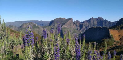 Madeira East Island Tour and Levada Walk