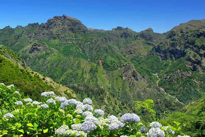 Madeira East Tour from Funchal - Ribeiro Frio: trout pools, prehistoric forest vibes, and levada country