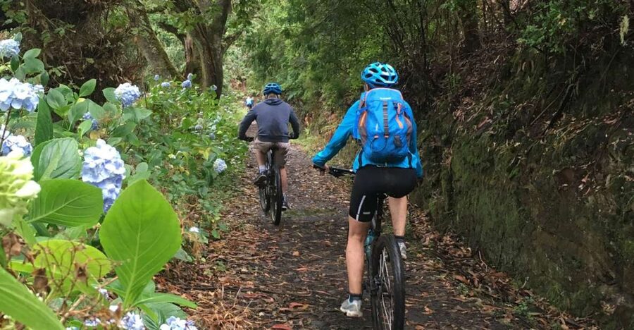 Madeira Easy Levada Biking Tour – Scenic & Relaxed - What to bring, plus the few non-negotiables