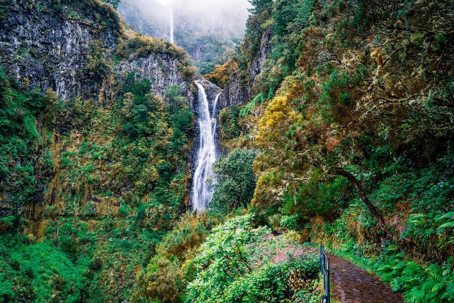 Madeira: Enjoy a Guided Levada Walk in the Rabaçal Valley - Why This Levada Walk Feels Like a Madeira Shortcut to the Good Stuff
