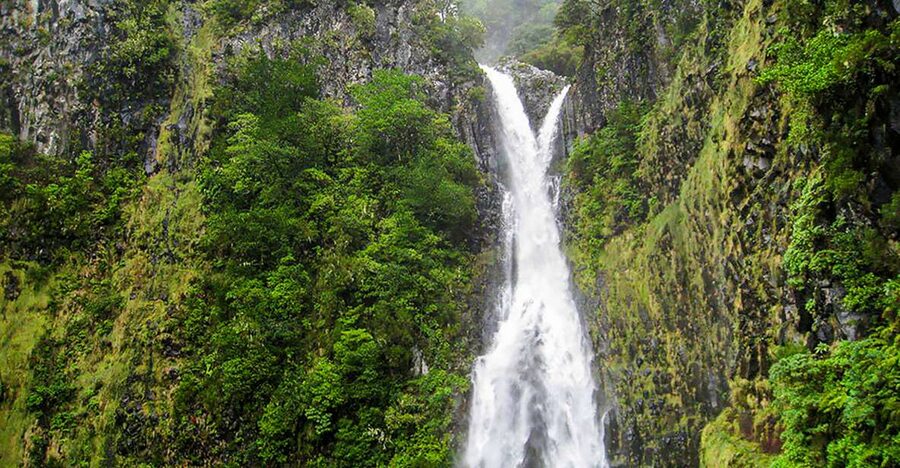 Madeira: Enjoy a Guided Levada Walk in the Rabaçal Valley - Levada das 25 Fontes: The 25 Springs Moment You Actually Came For