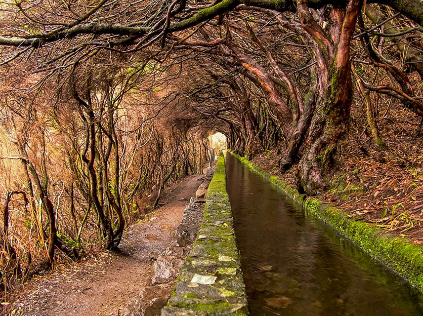 Madeira: Enjoy a Guided Levada Walk in the Rabaçal Valley - The Return Route and the 800m Tunnel: What to Expect and How to Prepare