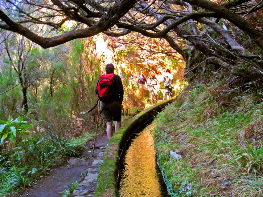 Madeira: Enjoy a Guided Levada Walk in the Rabaçal Valley - Pace and Fitness Reality: What Moderate Difficulty Means on This Trail