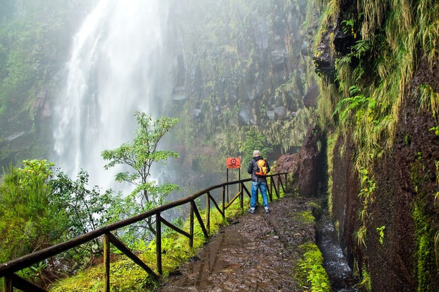 Madeira: Enjoy a Guided Levada Walk in the Rabaçal Valley - Who This Tour Suits Best (And Who Might Prefer Something Else)