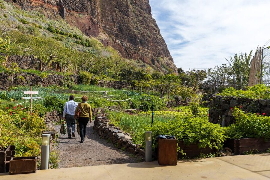 Madeira: Faja dos Padres Private Sightseeing Tour - Weather, clothing, and the small rules that matter