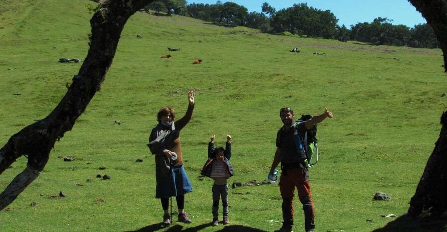 Madeira: Fanal Forest Guided Hiking Tour - Getting There From Your Hotel in a Jeep or SUV