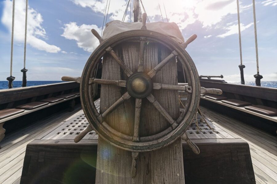 Madeira: Flag Ship Tour aboard Santa Maria de Colombo - Dolphins and Whales: How to Get the Most From the Scanning Time